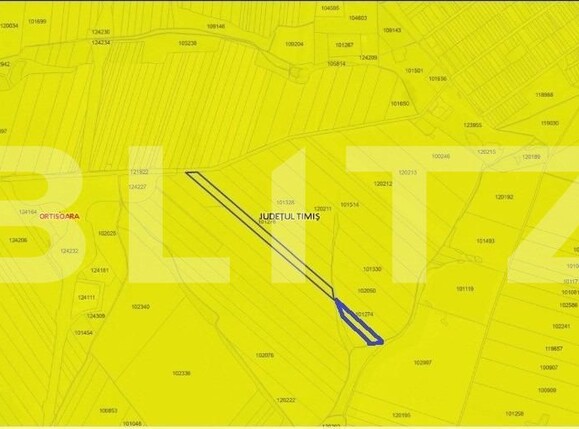 Teren de vânzare Orţişoara - 125735TV | BLITZ Timișoara | Poza2