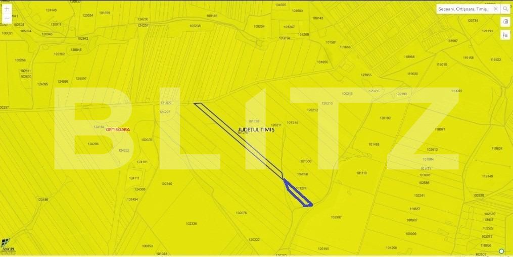 Teren de vânzare Orţişoara - 125735TV | BLITZ Timișoara | Poza2