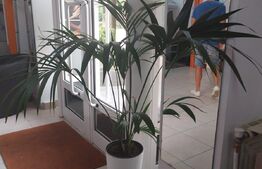 Afacere la cheie, salon de bronzat, zona complexul studentesc