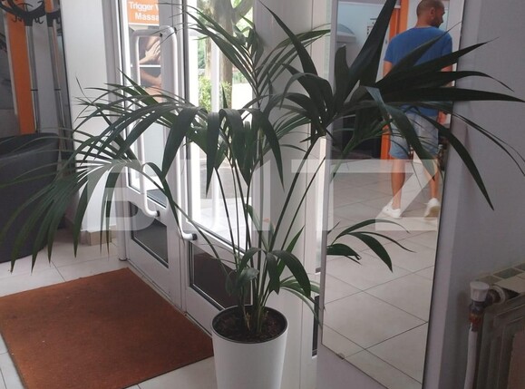 Spațiu comercial de vânzare Complex Studentesc - 125796SVC | BLITZ Timișoara | Poza1