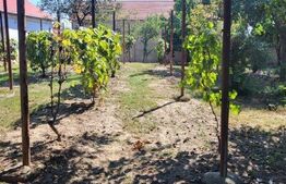 Casa constructie noua, 10 camere, 300mp, teren 4697 mp, Exterior Nord