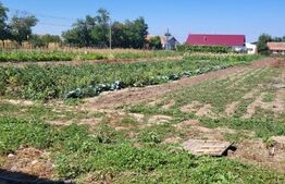 Casa constructie noua, 10 camere, 300mp, teren 4697 mp, Exterior Nord