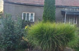 Casa constructie noua, 10 camere, 300mp, teren 4697 mp, Exterior Nord