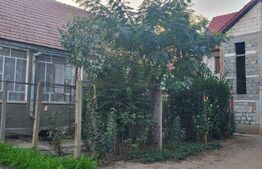 Casa constructie noua, 10 camere, 300mp, teren 4697 mp, Exterior Nord