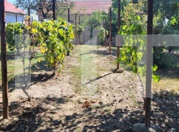 Casa de vânzare 10 camere Exterior Nord - 125859CV | BLITZ Timișoara | Poza6