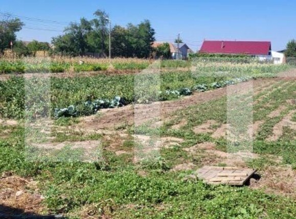 Casa de vânzare 10 camere Exterior Nord - 125859CV | BLITZ Timișoara | Poza7