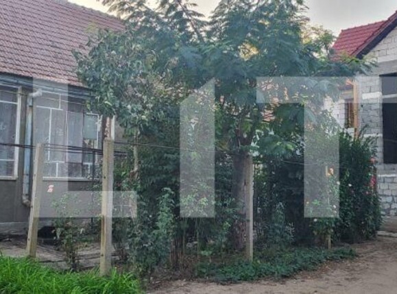 Casa de vânzare 10 camere Exterior Nord - 125859CV | BLITZ Timișoara | Poza5