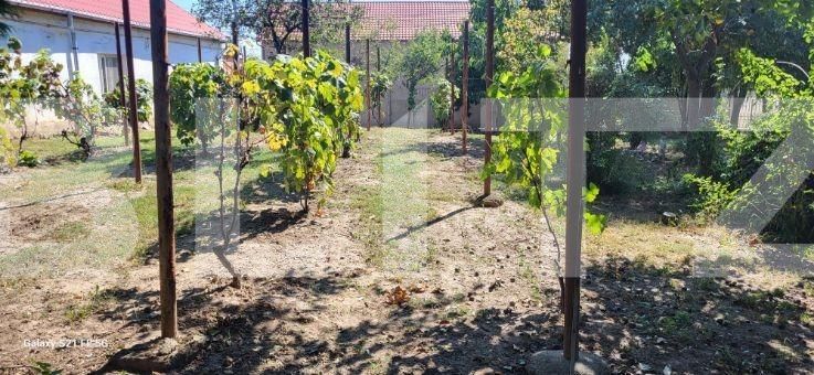 Casa de vânzare 10 camere Exterior Nord - 125859CV | BLITZ Timișoara | Poza6