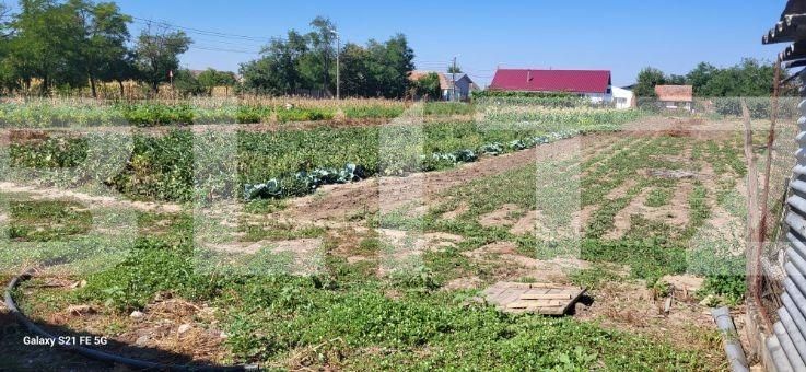 Casa de vânzare 10 camere Exterior Nord - 125859CV | BLITZ Timișoara | Poza7