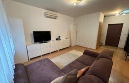 Apartament 3 camere, 84mp, 2 niveluri, 2 bai, terasa, zona Torontalului