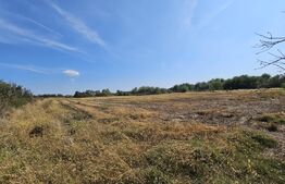  Casa 3 camere, 85mp, teren 3660mp, Gilad