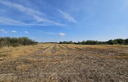  Casa 3 camere, 85mp, teren 3660mp, Gilad