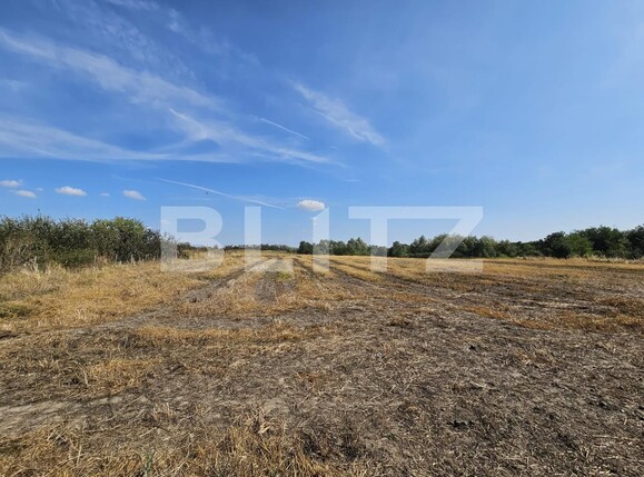 Casa de vânzare 3 camere Exterior Sud - 126051CV | BLITZ Timișoara | Poza9