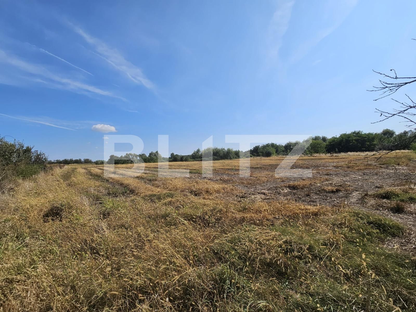 Casa de vânzare 3 camere Exterior Sud - 126051CV | BLITZ Timișoara | Poza8