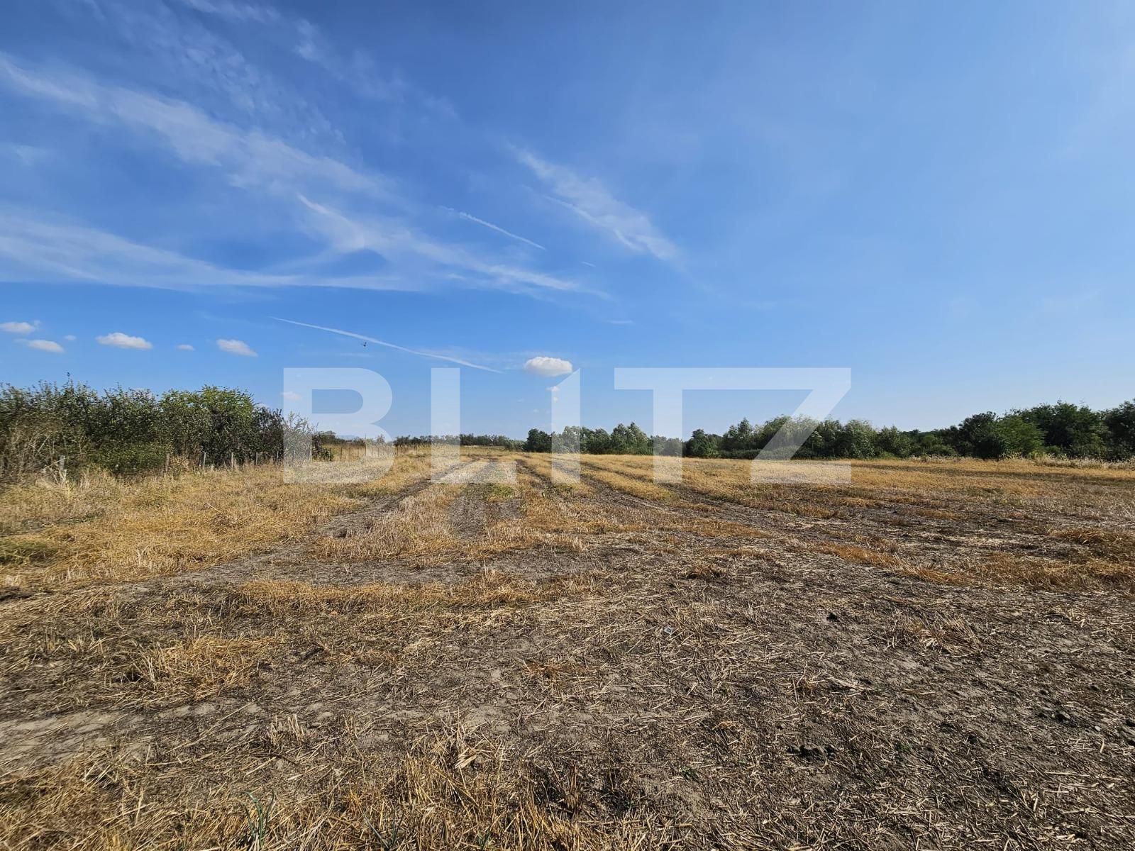 Casa de vânzare 3 camere Exterior Sud - 126051CV | BLITZ Timișoara | Poza9