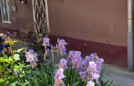 Casa 2 camere, 40 mp, teren 1190 mp, cartier Iosefin