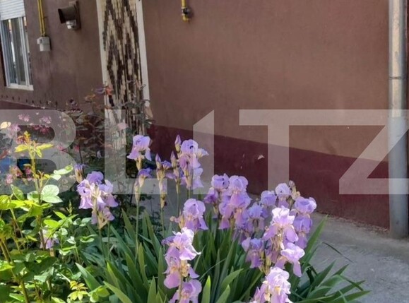 Casa de vânzare 2 camere Iosefin - 126326CV | BLITZ Timișoara | Poza1