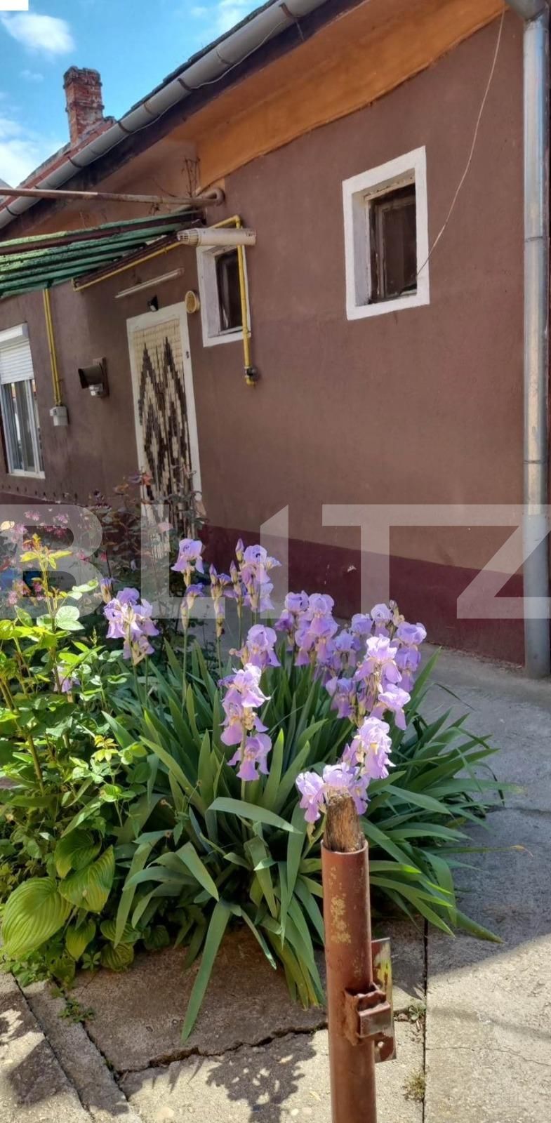 Casa de vânzare 2 camere Iosefin - 126326CV | BLITZ Timișoara | Poza1