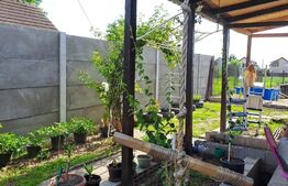 Casa 4 camere, 200 mp, Vest