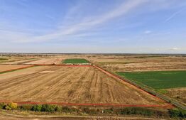 Oportunitate, 68.500 mp teren extravilan, intre Bucovat/Mosnita Veche!