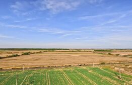 Oportunitate, 68.500 mp teren extravilan, intre Bucovat/Mosnita Veche!