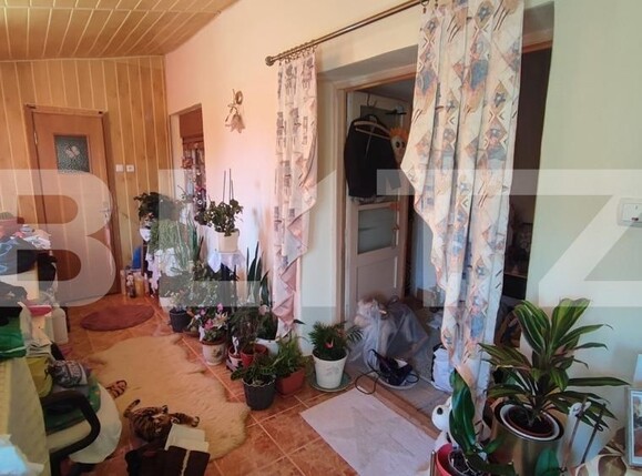 Casa de vânzare 4 camere Ghirodei - 126435CV | BLITZ Timișoara | Poza14