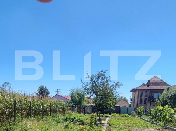 Casa de vânzare 4 camere Ghirodei - 126435CV | BLITZ Timișoara | Poza13