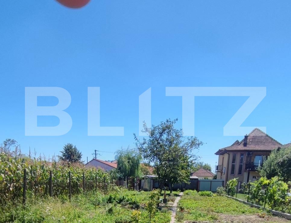 Casa de vânzare 4 camere Ghirodei - 126435CV | BLITZ Timișoara | Poza13