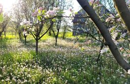 Casa, 150 mp, Hisias