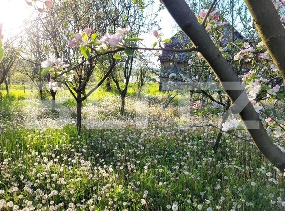 Casa de vânzare 5 camere Nord-Est - 126456CV | BLITZ Timișoara | Poza3