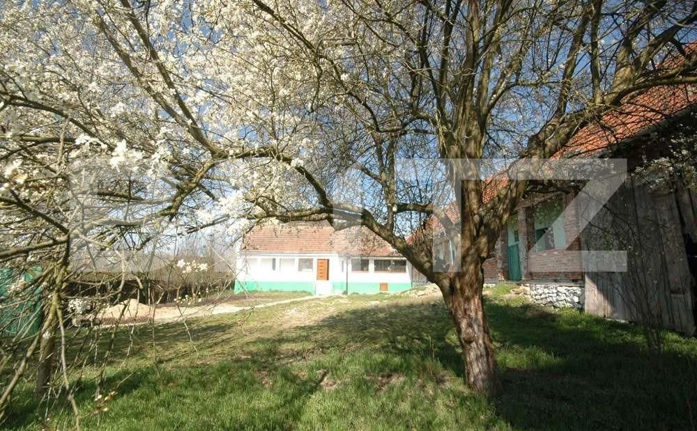 Casa de vânzare 5 camere Nord-Est - 126456CV | BLITZ Timișoara | Poza1