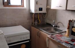 Casa 2 camere, 36 mp, Iosefin