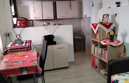 Casa 2 camere, 36 mp, Iosefin