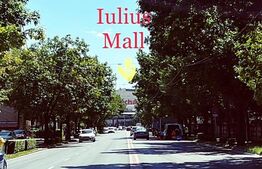 Casa 7 camere, 265 mp, teren, 344 mp, zona Lipovei