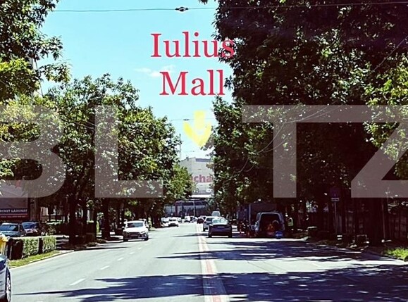 Casa de vânzare 7 camere Lipovei - 126532CV | BLITZ Timișoara | Poza6