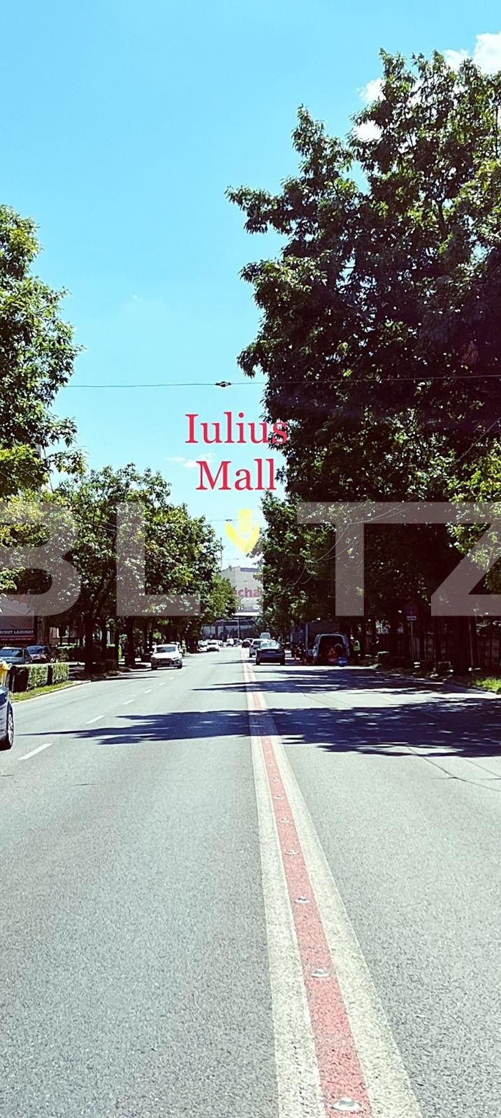 Casa de vânzare 7 camere Lipovei - 126532CV | BLITZ Timișoara | Poza6