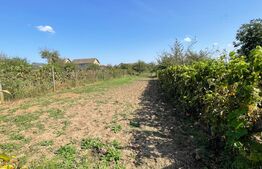 Teren Intravilan, 630 mp, Vatra Satului, Giarmata