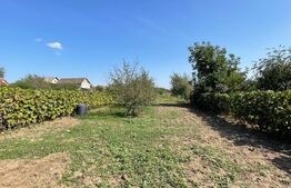 Teren Intravilan, 630 mp, Vatra Satului, Giarmata