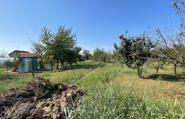 Teren Intravilan, 630 mp, Vatra Satului, Giarmata