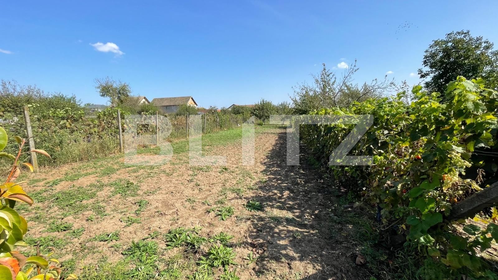 Teren de vânzare Giarmata - 126592TV | BLITZ Timișoara | Poza3