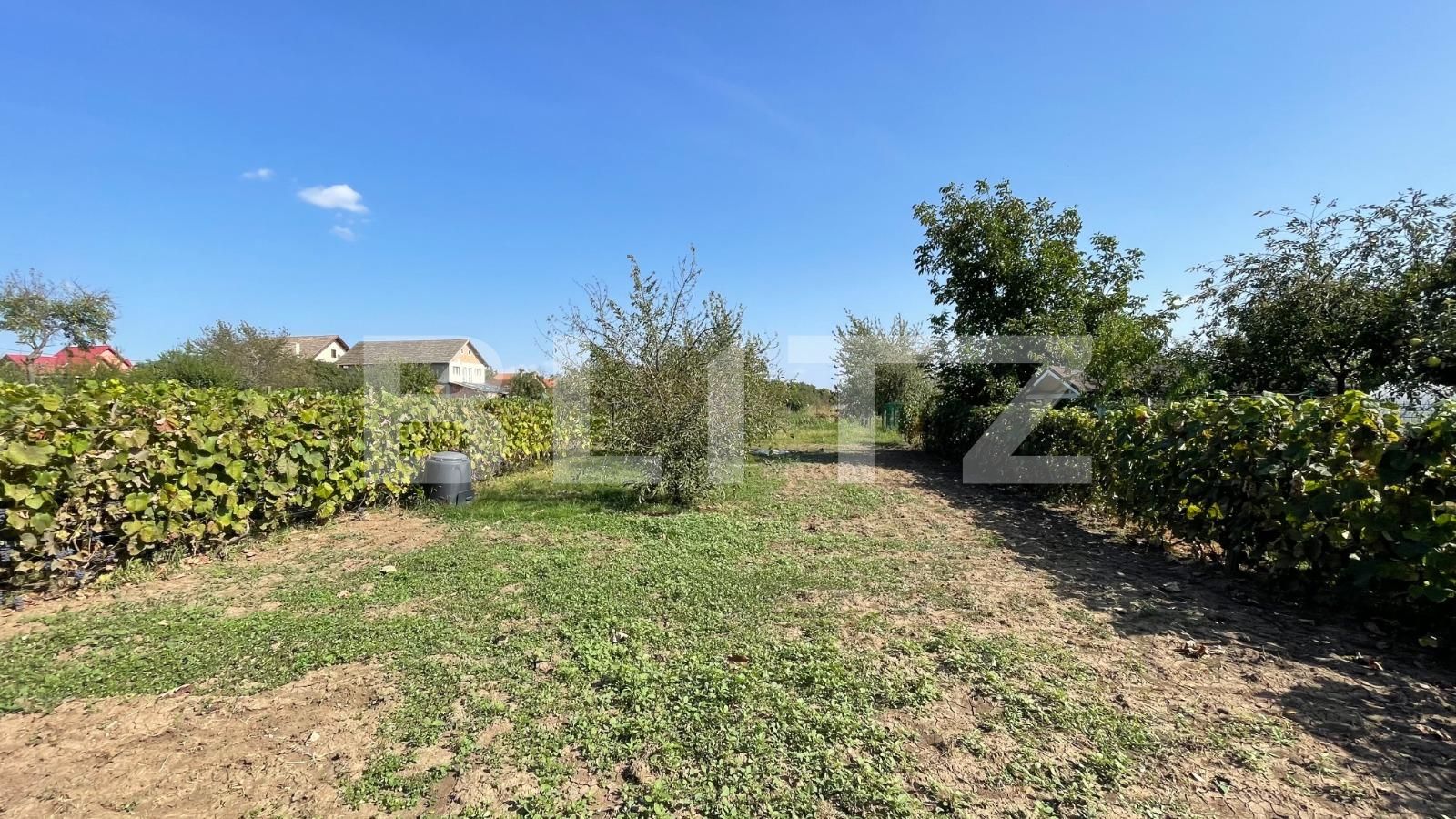 Teren de vânzare Giarmata - 126592TV | BLITZ Timișoara | Poza2