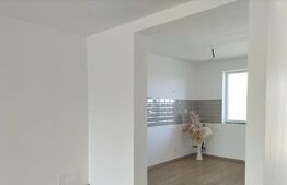 Casa semi-individuala  3 camere, 100 mp, Sag zona Manastirii