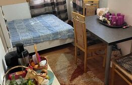 Apartament 2 camere, 35 mp, luminos, zona Buziasului