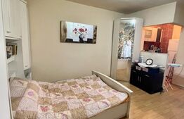 Apartament cu o camera, 28mp, Circumvalatiunii