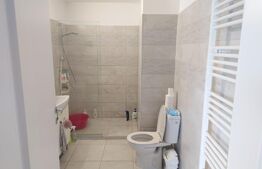 Penthouse 2 camere, 54 mp, 24 mp terasa, Torontalului