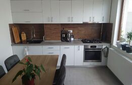 Penthouse 2 camere, 54 mp, 24 mp terasa, Torontalului