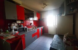 Apartament de 2 camere, 46 mp, cartier Complexul Studentesc