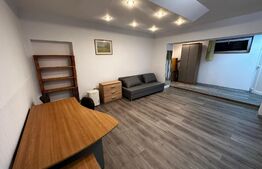 Apartament cu 1 camera, spatios, 40 mp, zona Complexul Studentesc