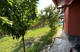 Casa individuala, 3 camere, 70mp, nemobilata, zona Lipovei