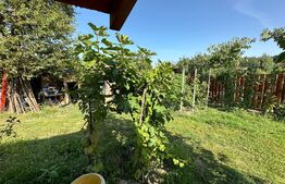 Casa individuala, 3 camere, 70mp, nemobilata, zona Lipovei